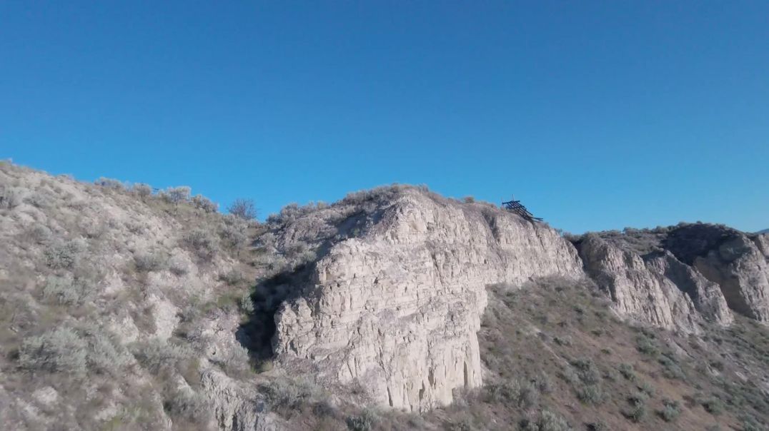 Treetops and Gulches