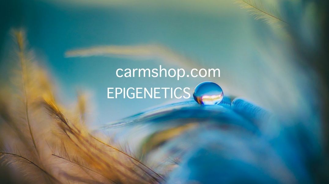 Epigenetics Comprehensive Evaluation and Interpretation