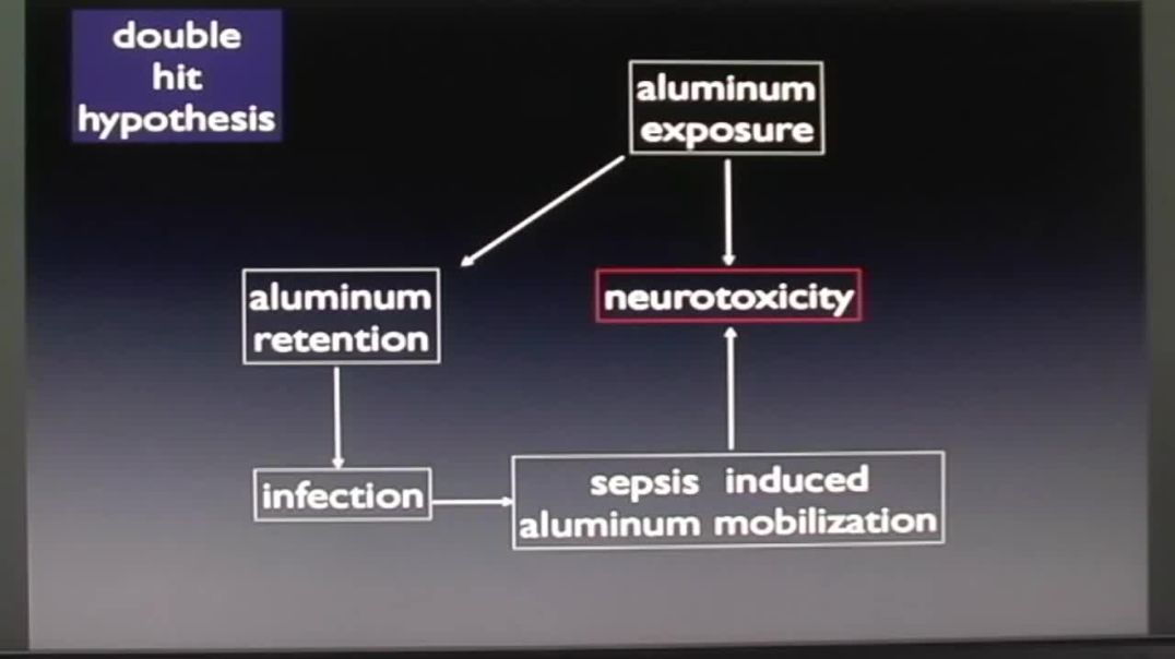 Vaccines and Childhood Illnesses  Beyond Thimerosal, Beyond  Autism