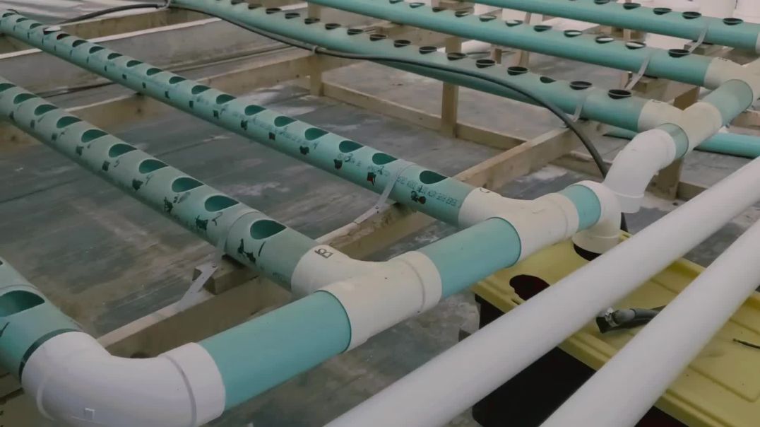 NFT System