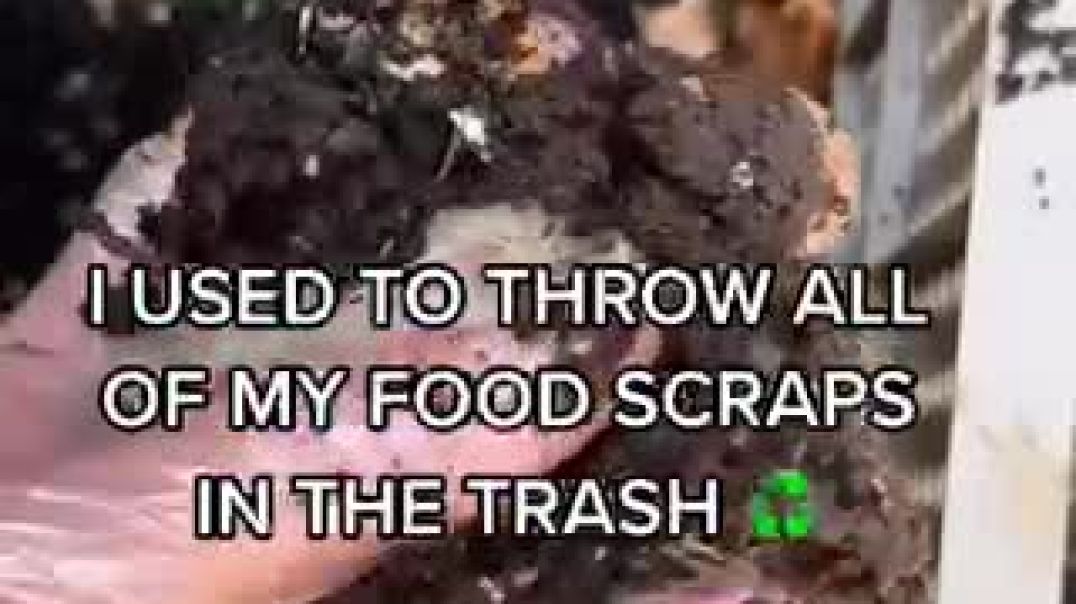 ⁣Turn Trash into Food!