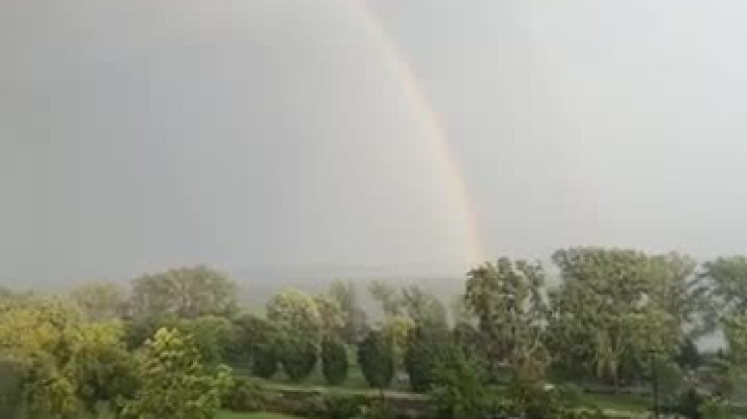 Sharing a beautiful omen