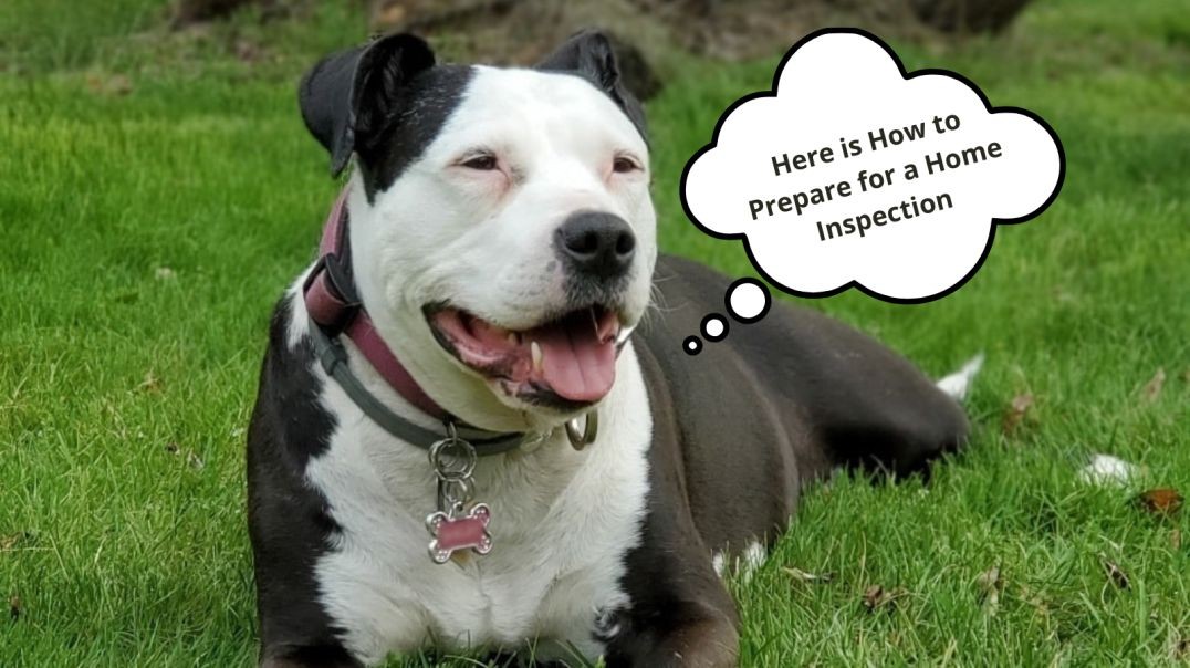 Preparing Your Home For A Home Inspection