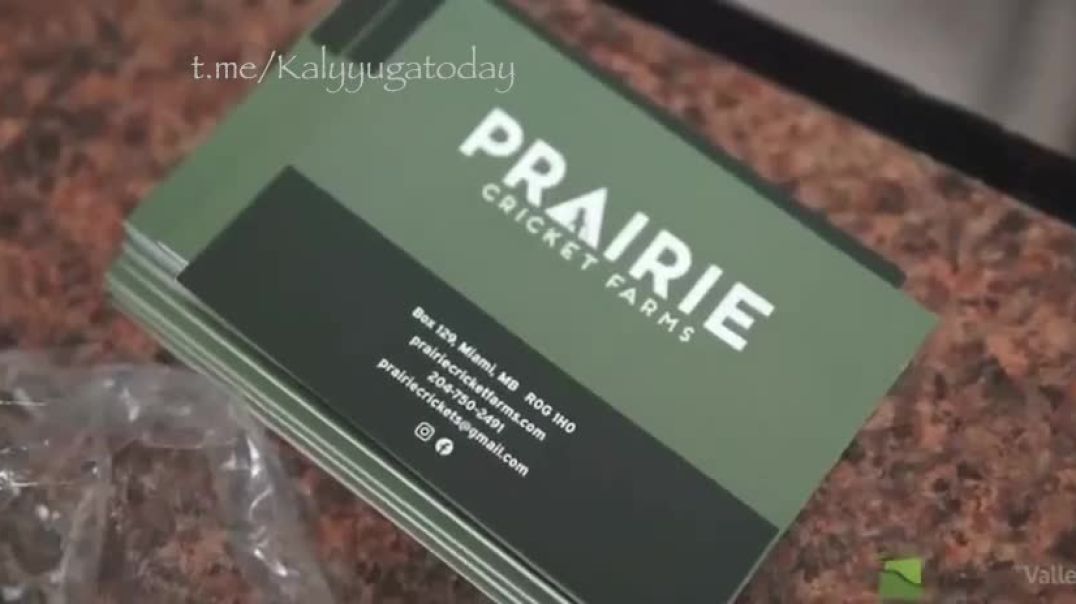 World Largest  Cricket Protein ‘factory’ completed in Ontario.⁣ Children are being indoctrinated.   