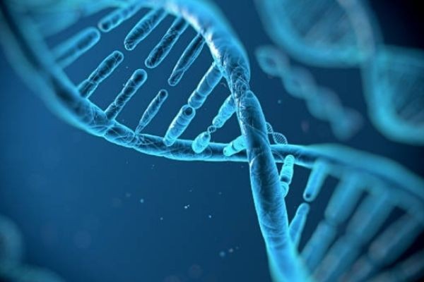 Everyone needs to hear this.  It's an assult against our very biological essence.  DNA alteration!!! <br> <br>https://crwdview.com/watch/covid-facts-vaccine-induced-injury-heart-dz-hosp..
