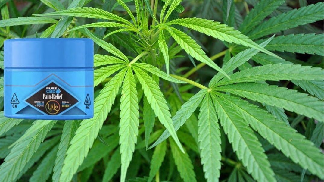 ⁣CBD & DMSO used for pain and skin problems