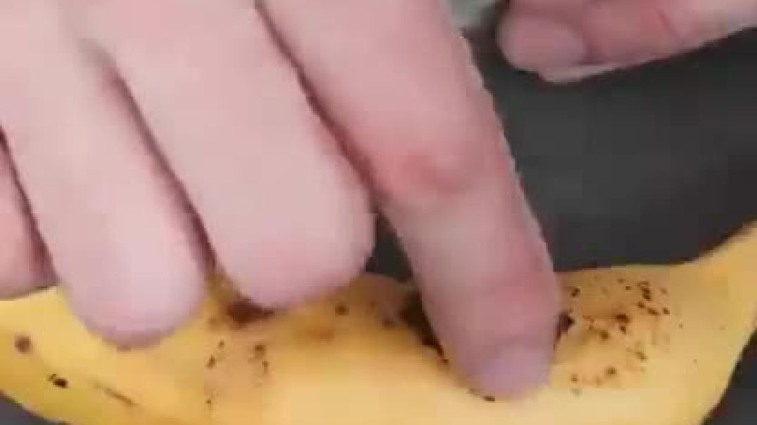 Grow Food in other Food