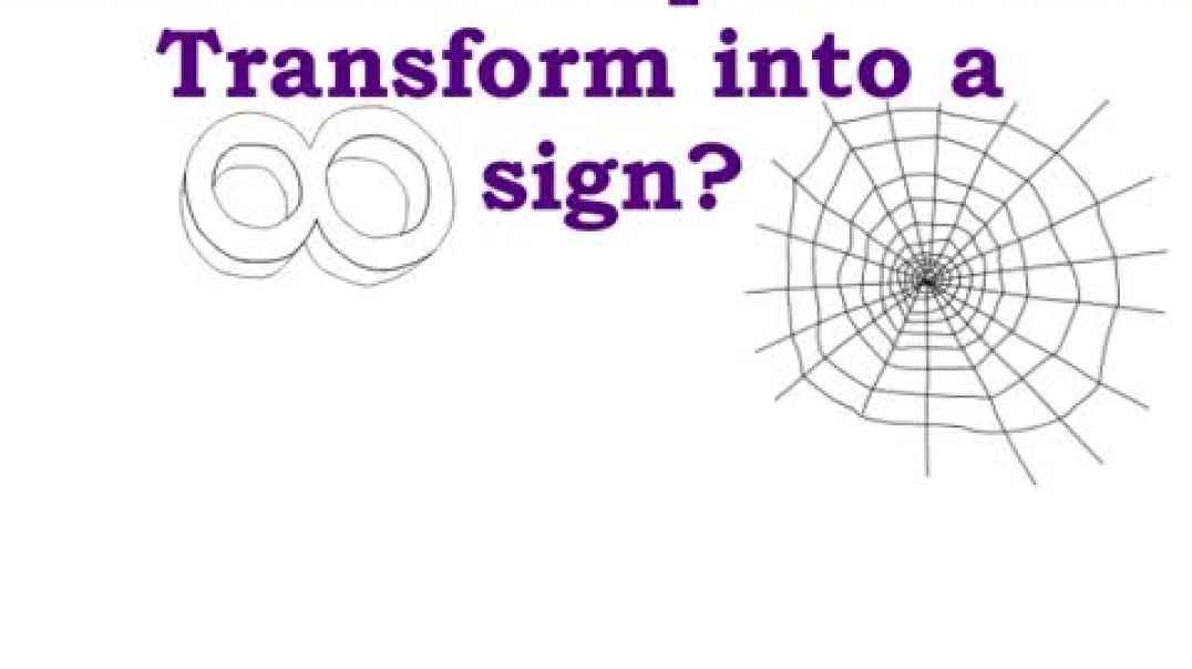 Transformation of Spider Web