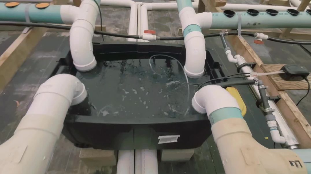 Running water in the NFT system.