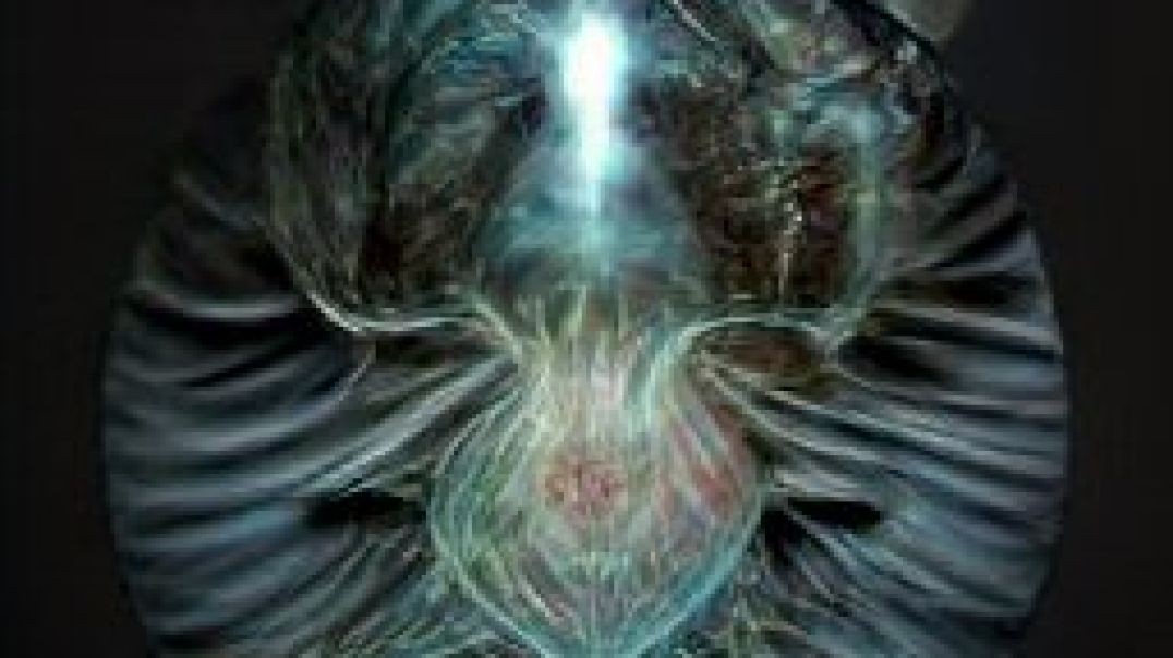 Find and Remain close to the wise