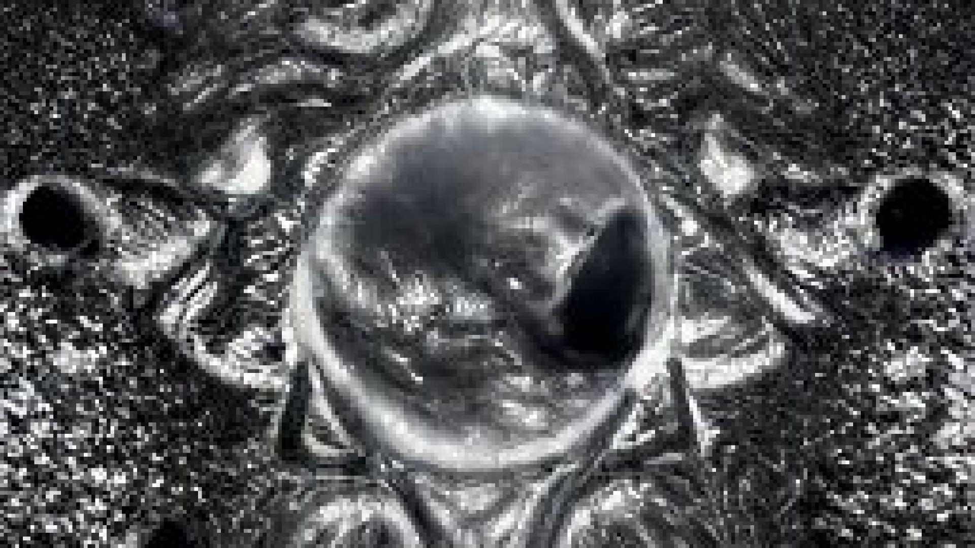 Consciously Aware - Discussion