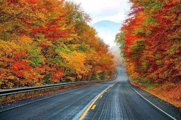 AUTUMN LEAVES IN NEW HAMPSHIRE