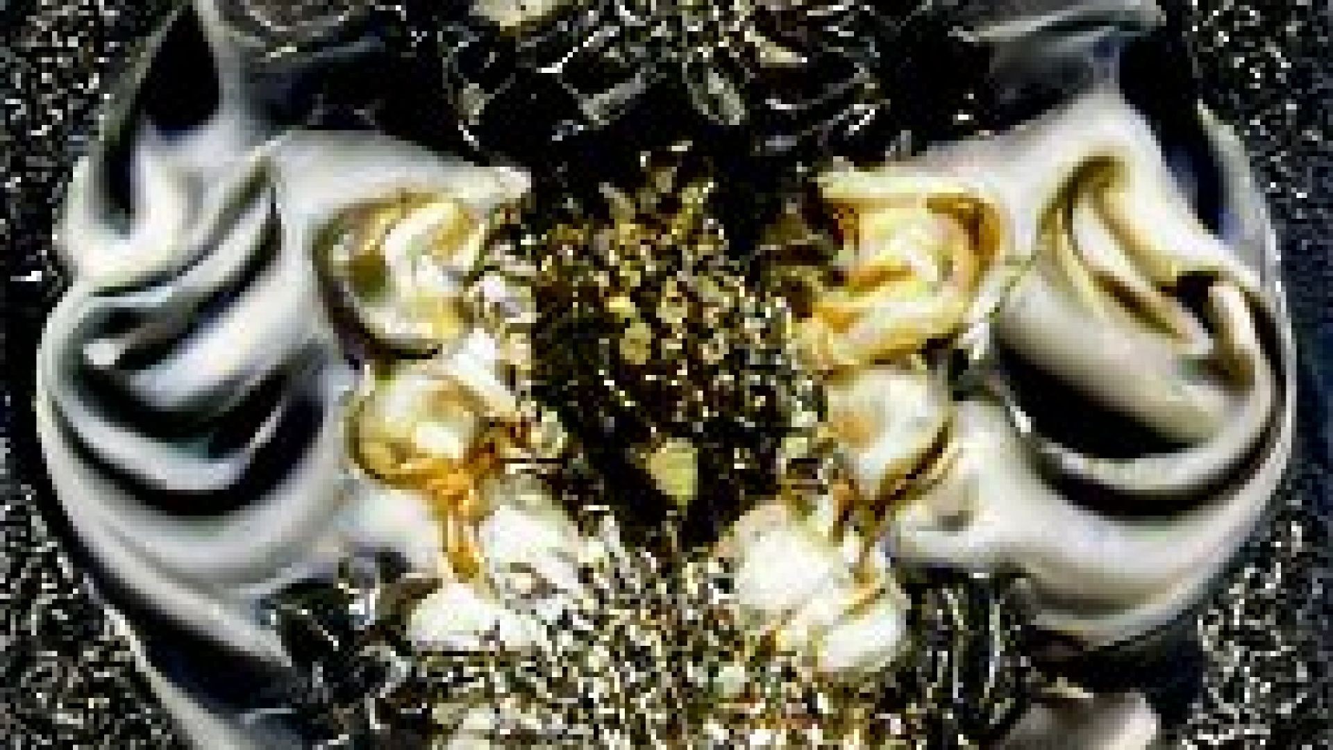 Adam the Image