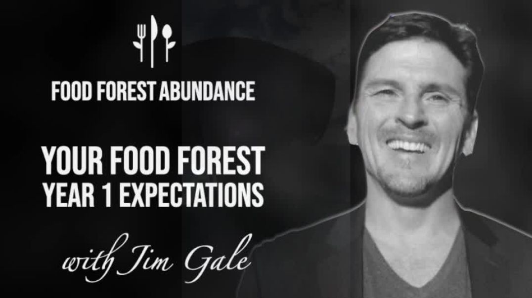 Year 1 Food Forest Expectations