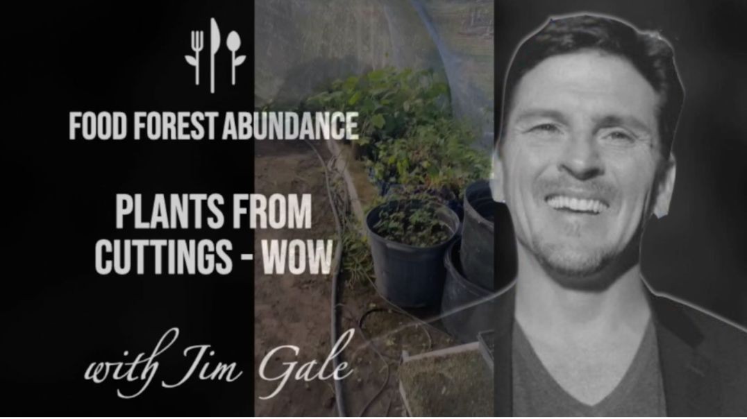 Plants from Cuttings
