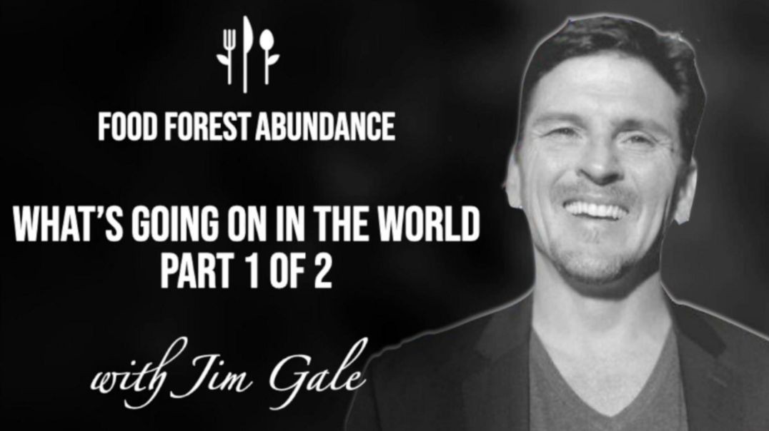 Gale - Whats Going On Parts 1 and 2