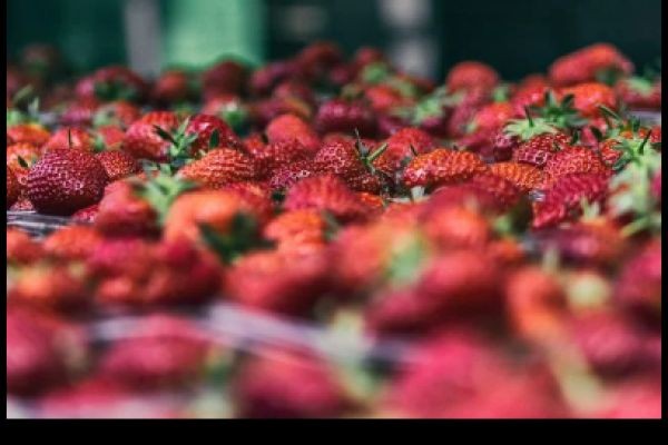 Are your children's favorite foods causing them harm?