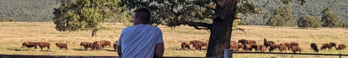 TheBisonGuy