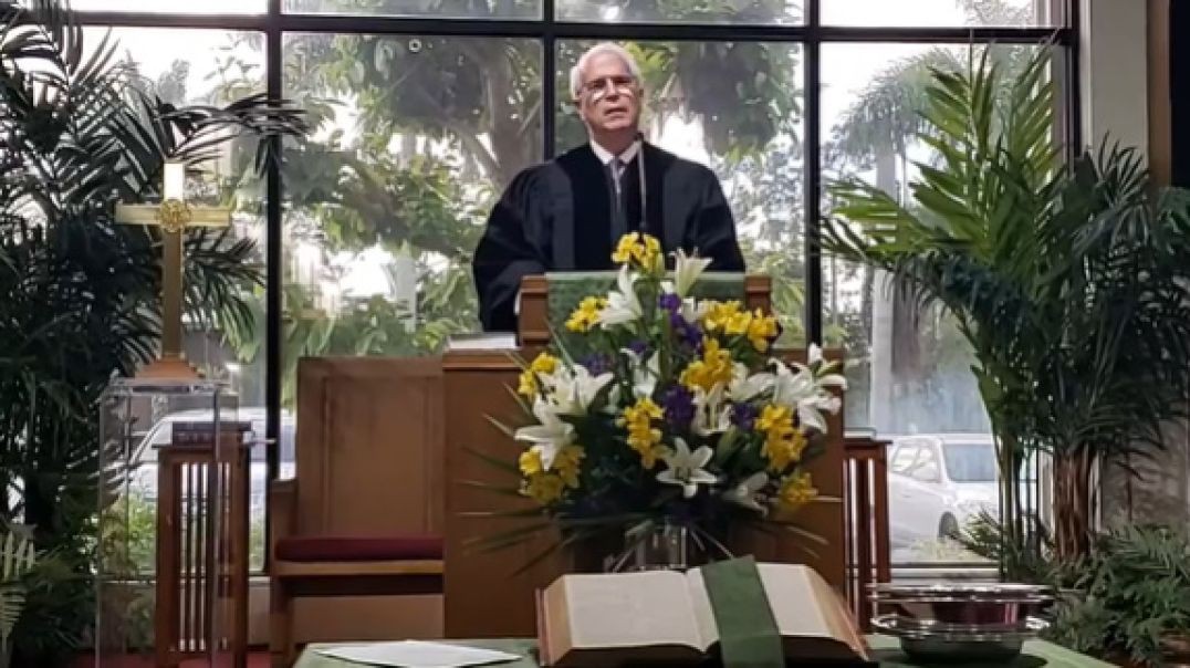 Livestream:  Sunday, October 16, 2022 - Royal Palm Presbyterian Church