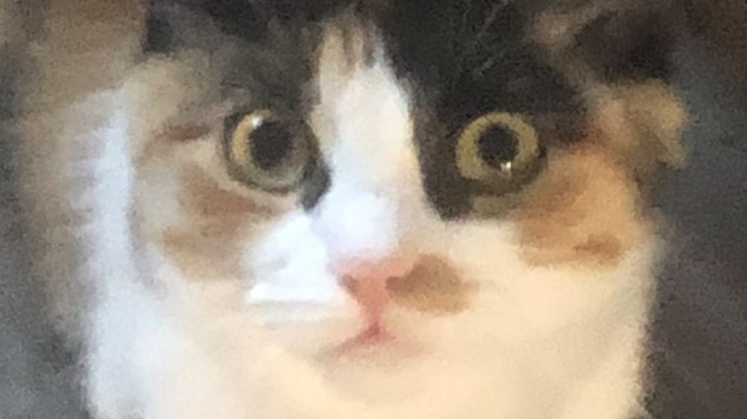 ⁣Ginger moments
