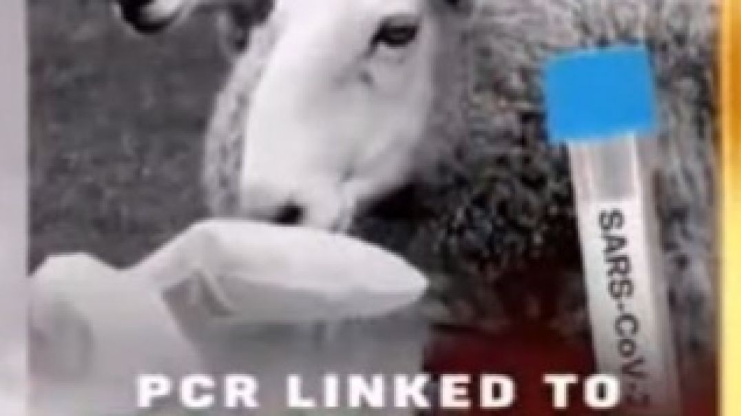 PCR Test Used for Cloning?