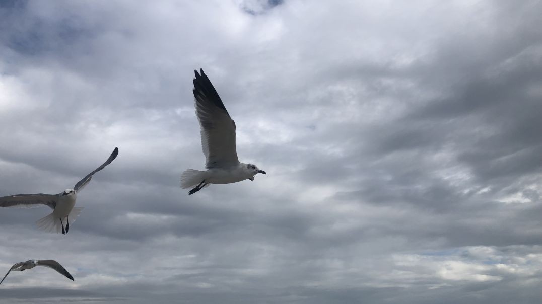 IMG_5578