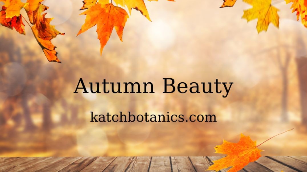 Autumn Video Canva