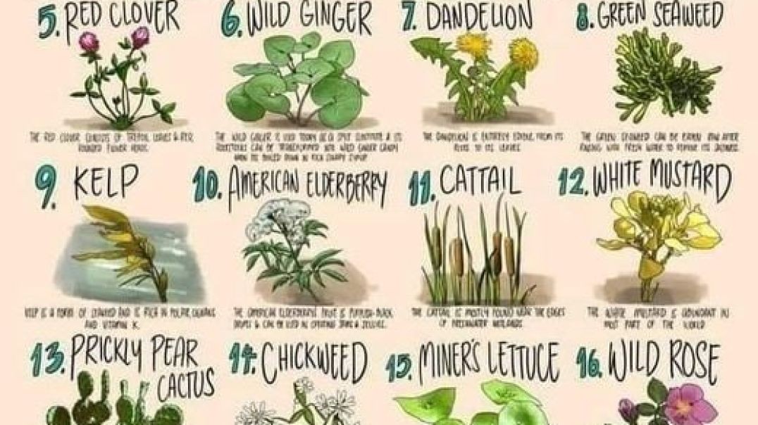Preparing winter garden