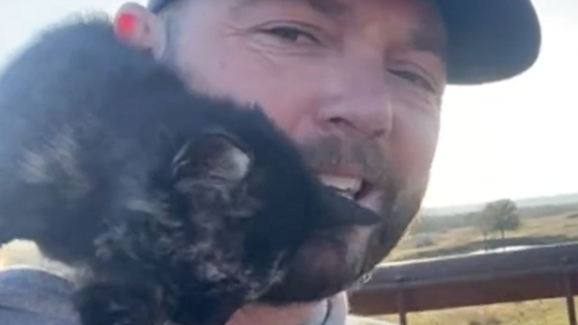 Live with Big Joe - Watch this Cat climb all over this guy as he tries to talk, it's hilarious!
