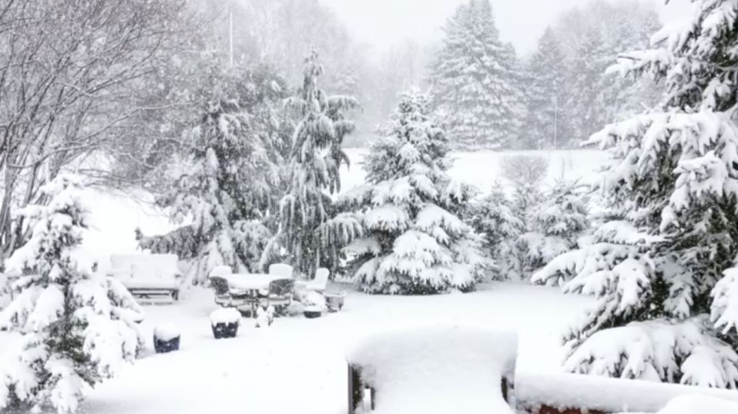 White Christmas