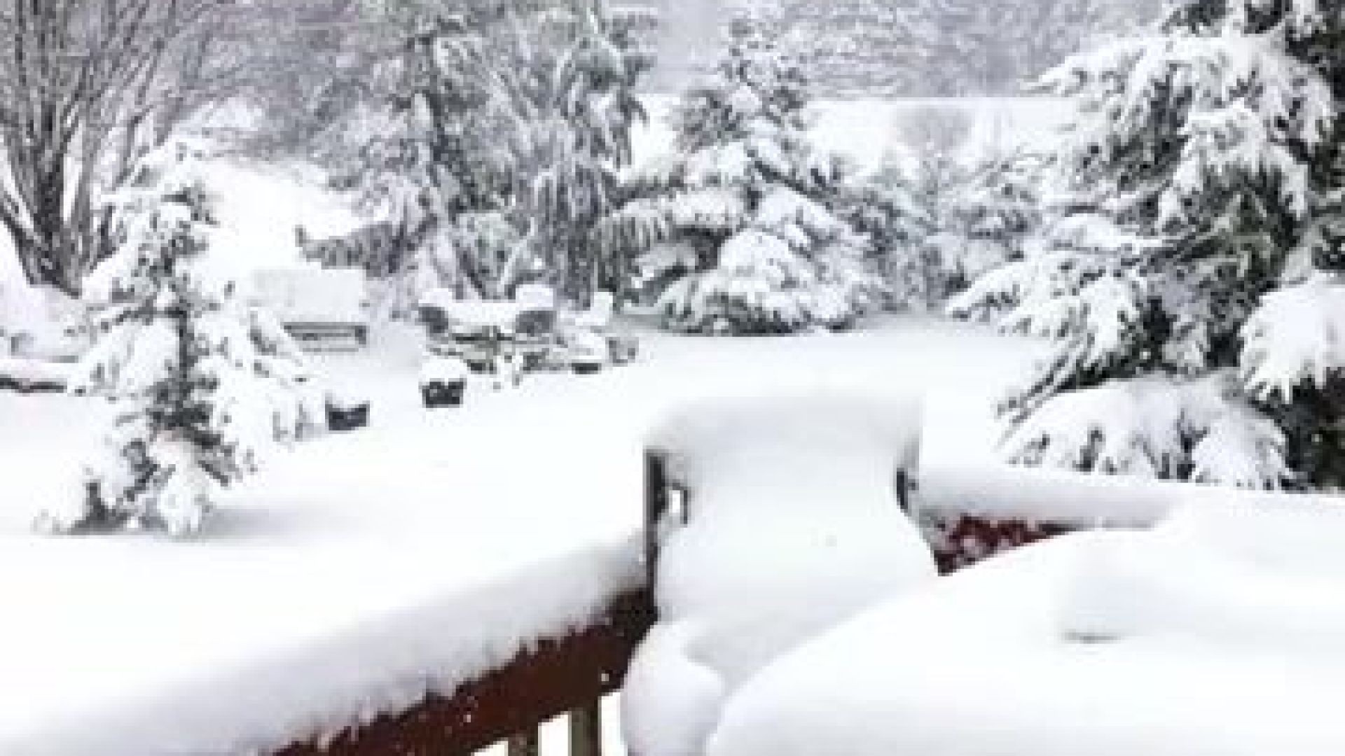 White Christmas