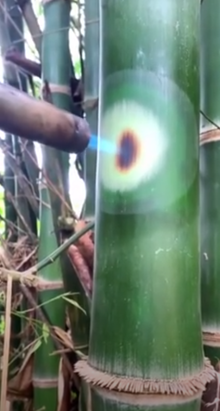Bamboo Fire
