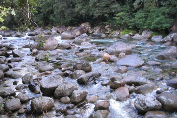 Water's Journey - by Dennis Binns