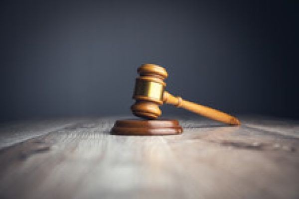 How to win in court without a lawyer - SGT Report