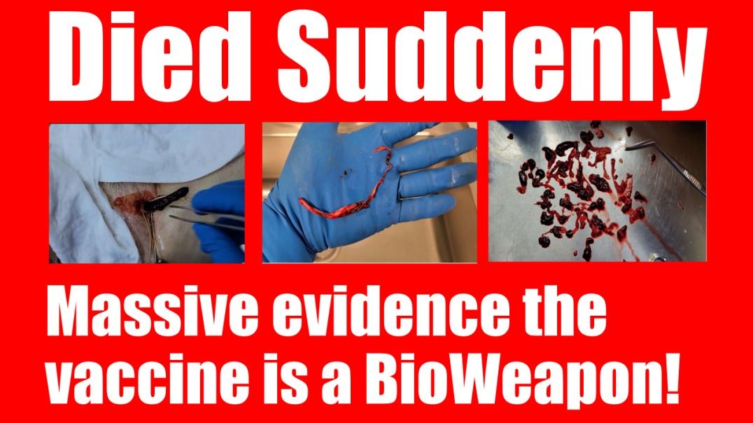 Died Suddenly - shocking documentary about vaccine-related deaths