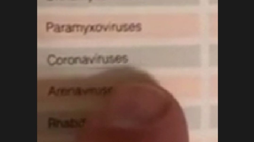 What Exactly is the Coronavirus?