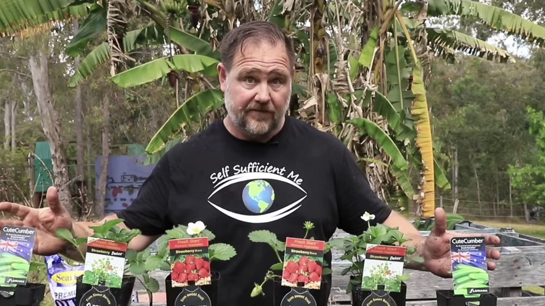 3 Gardening Upcycling Hacks for Growing in Small Spaces  (Mark's link below)