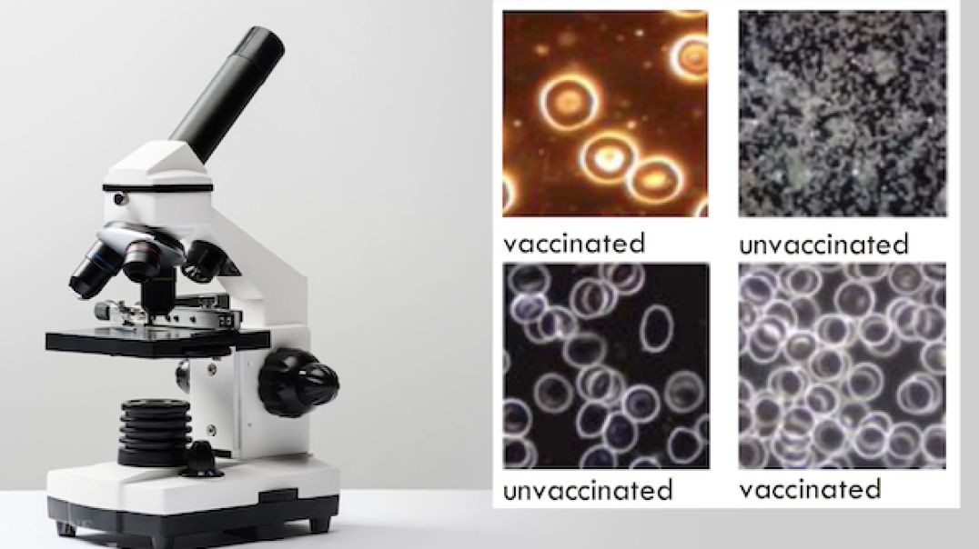 Toxic Components Found in Blood of Patients Who Took COVID Vaccines: German Scientists