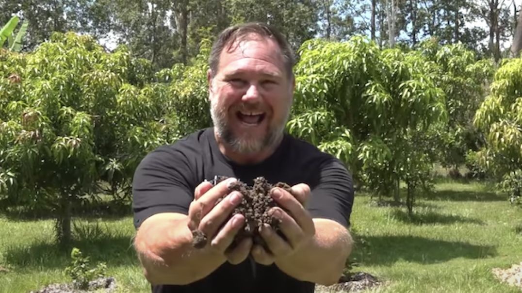 Compost Tumbler Review & Would I Buy Another One?
