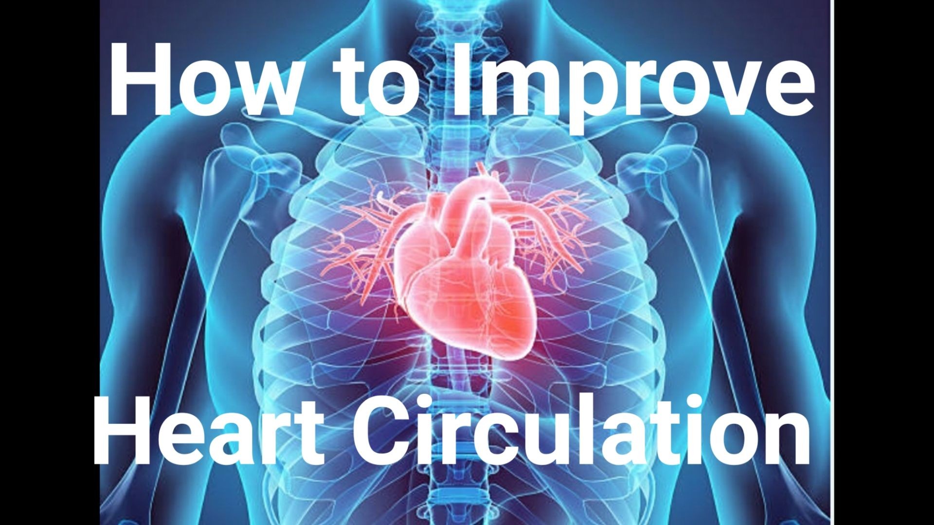 Health for the Heart