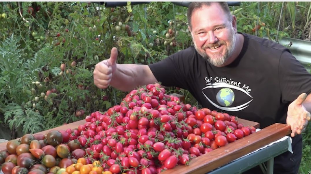5 TIPS How to Grow a TON of TOMATOES in One Long Raised Garden Bed Trellis