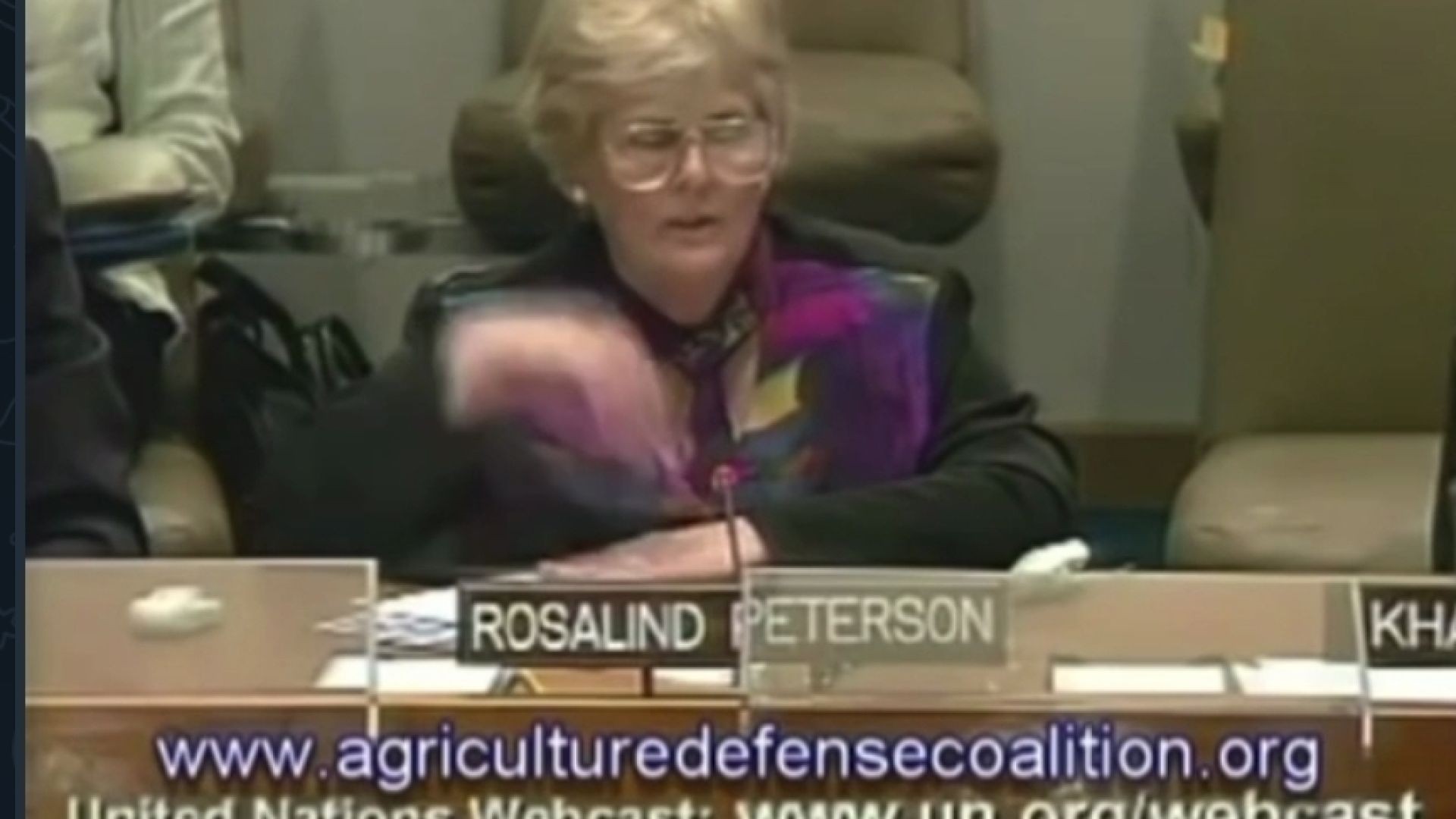 The 2006 UN Council-Chemtrail Presentation