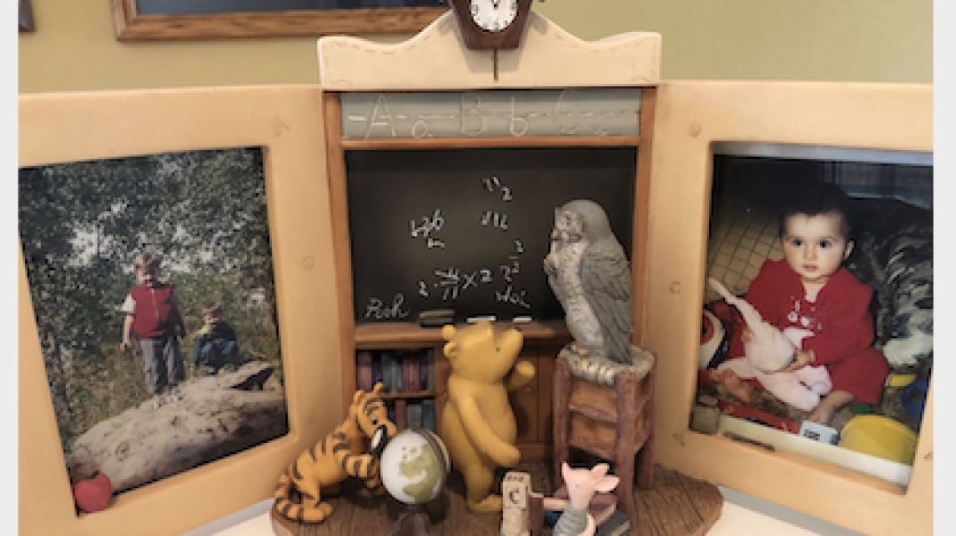 Adventures in Reading & Fun with Phonics  #23  The letter pair  /or/.