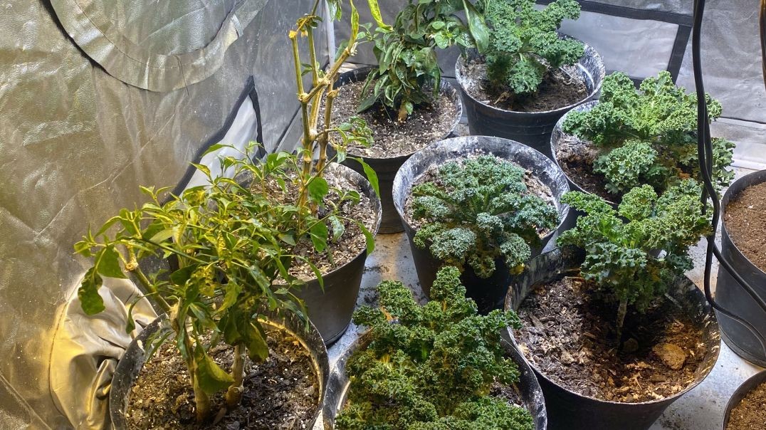 Starting Spring Garden