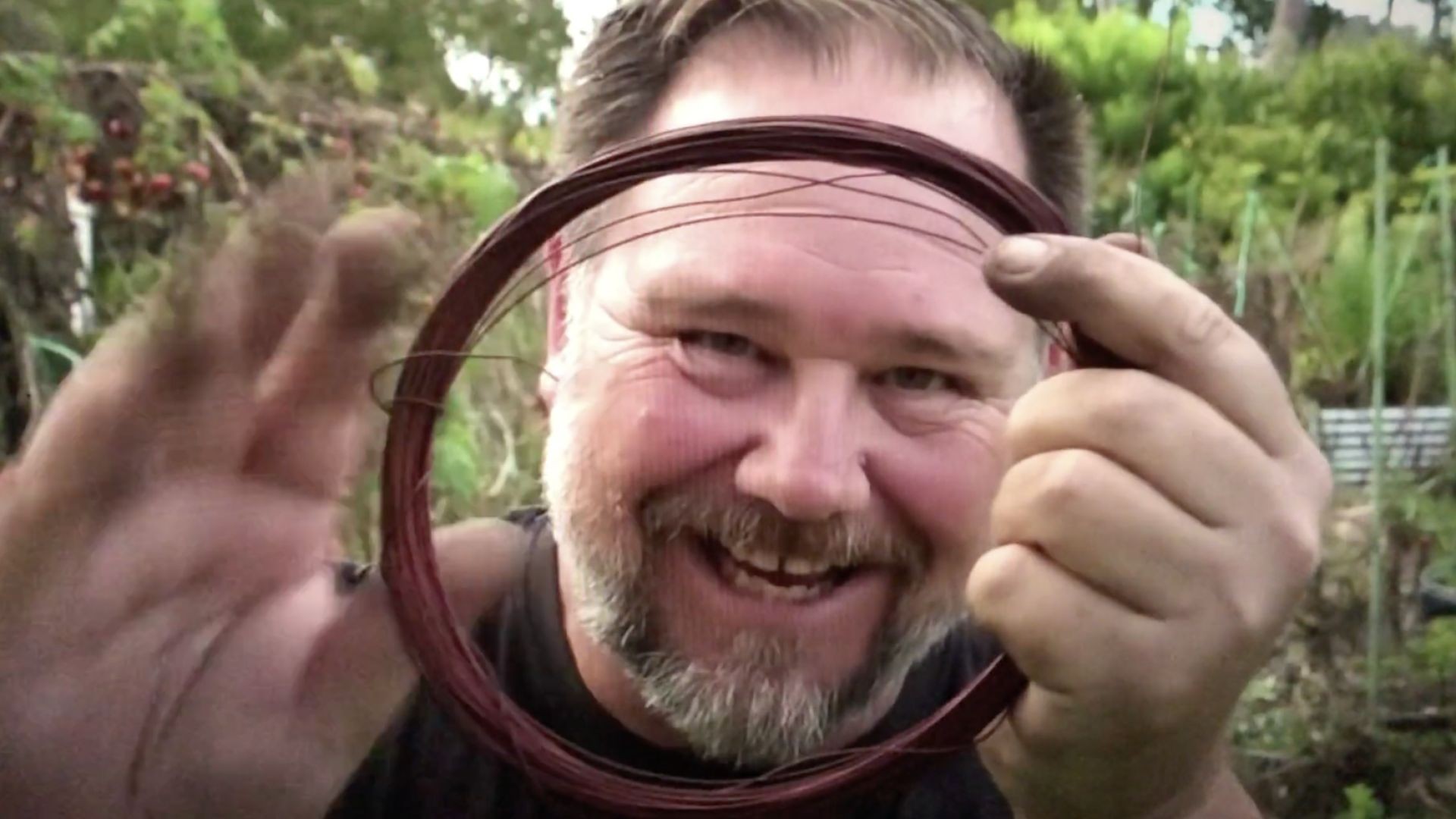 What Happens When You Put Copper Wire Through a Tomato Stem?  (link below)