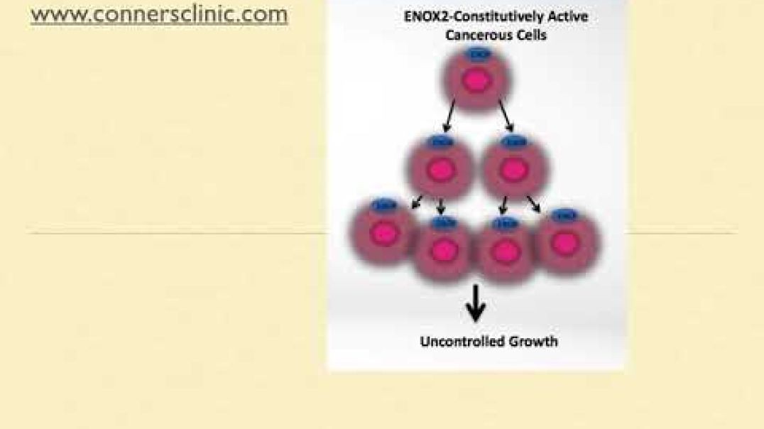 Dr. Kevin Conners - ENOX2 inhibition - A Novel Approach to Cancer