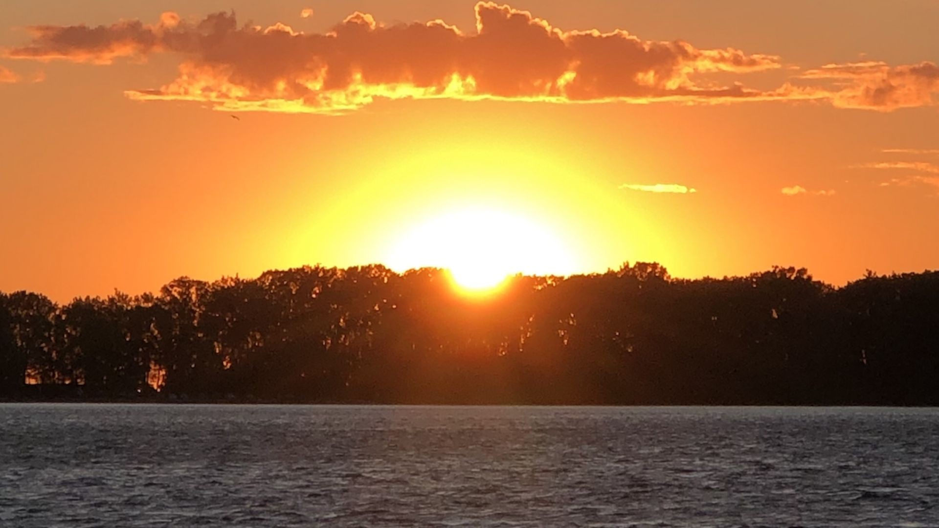 Sunny Song Sunday   - Beyond The Sea  -Bobby Darin