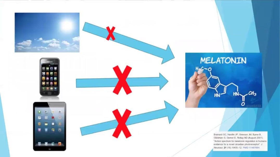 Dr. Kelly Halderman - Screen Time & Health