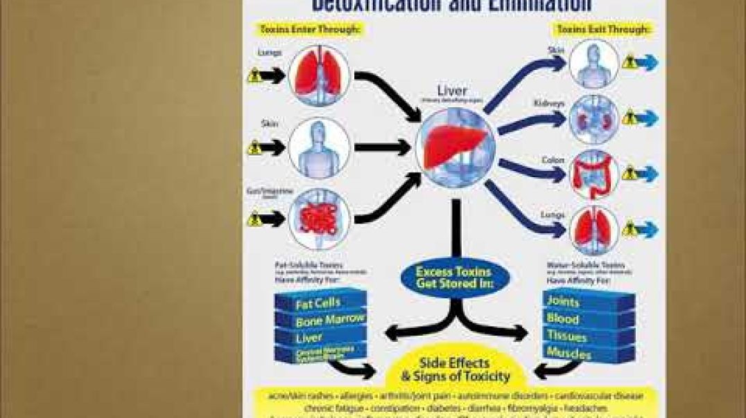Dr. Kevin Conners - Livton Complex for Liver Detox