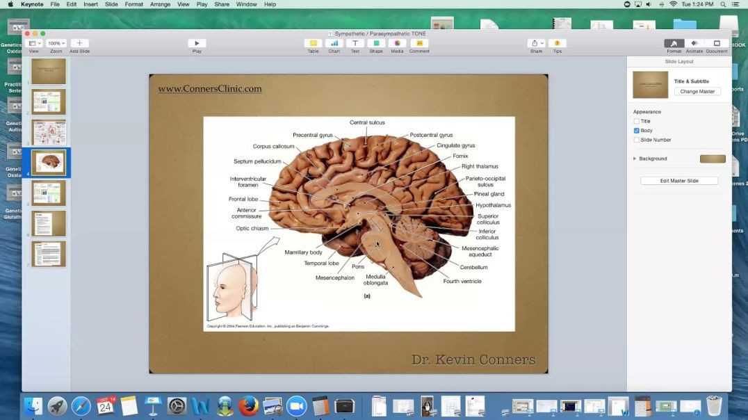 Dr. Kevin Conners - Sympathetic / Parasympathetic TONE